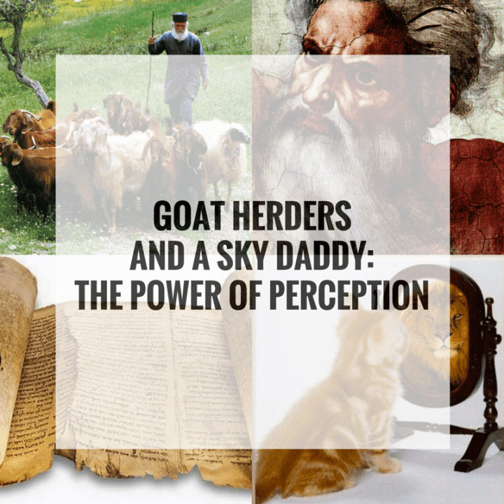 GoatHerder_perception