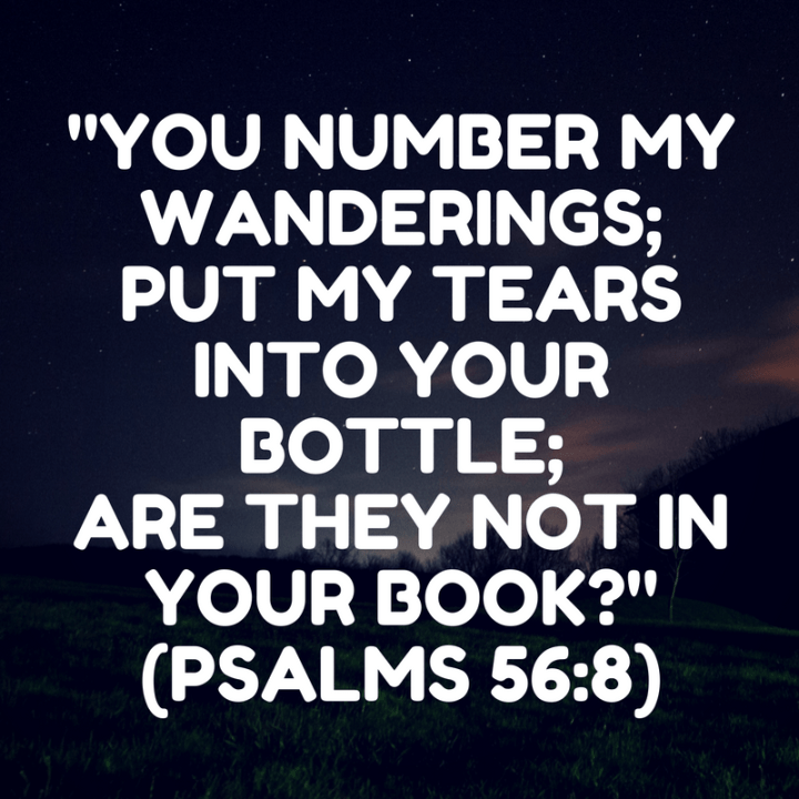 psalms-56-8